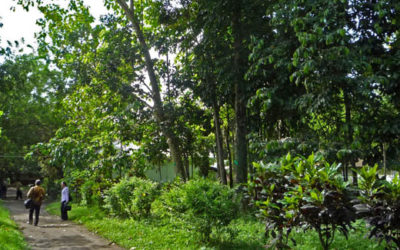 Kuliah Umum di Politeknik Padamara